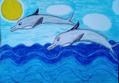 I delfini