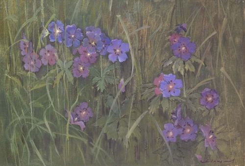 A pintura "Meadow Geranium" (Gerânio do Prado)